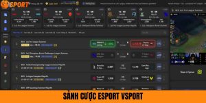 Sảnh cược esport vsport